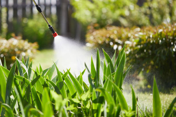 Tamper-Resistant Bait Stations for Rodents in Wellsboro
