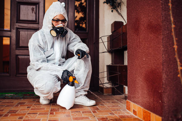 Attic and Crawl Space Rodent Treatment in Wellsboro
