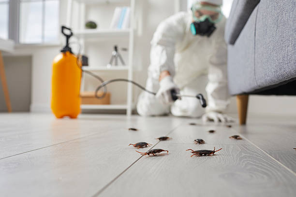 Commercial Rodent Management in Wellsboro